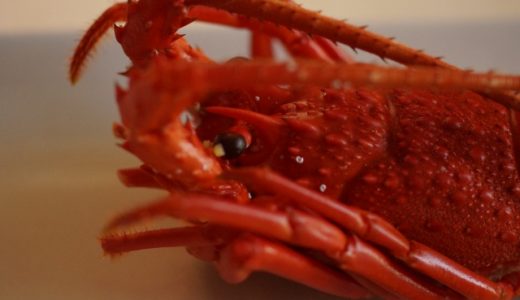 伊勢海老の冷凍を解凍する方法は?おいしさをキープする解凍方法