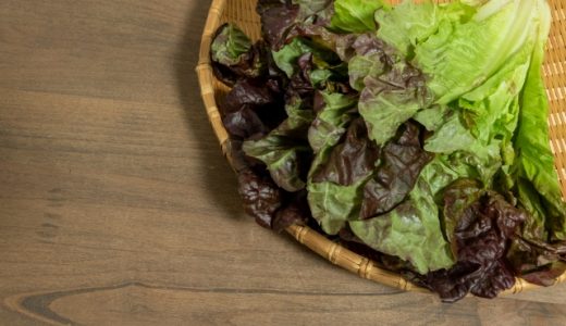 サニーレタスを食べて下痢･腹痛に？ダイエットや美容に効果的も注意点
