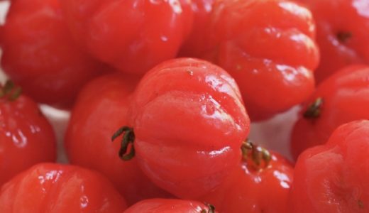 アセロラに似た果物のピタンガは何科？気になる疑問を徹底解説