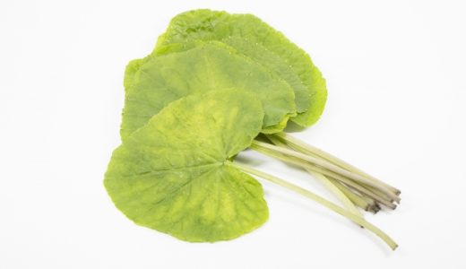 葉わさびを辛くする方法･食べ方｜下ごしらえ･旬･どんな味?