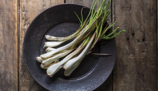 らっきょうと島らっきょうの違いは?食べ過ぎ注意?栄養価・効果効能