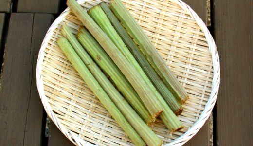 きゃらぶきは皮をむかない作り方もある？作り方・栄養素を解説