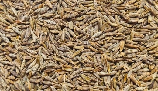 クミンの臭いはきついって本当？体臭の原因に？どんな風味・香り？