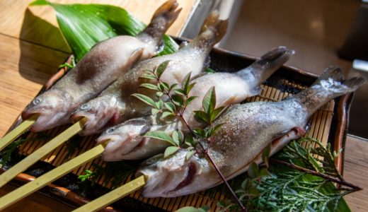 ニジマスの味はまずい？美味しい？ヤマメ・アマゴ・イワナとも比較！