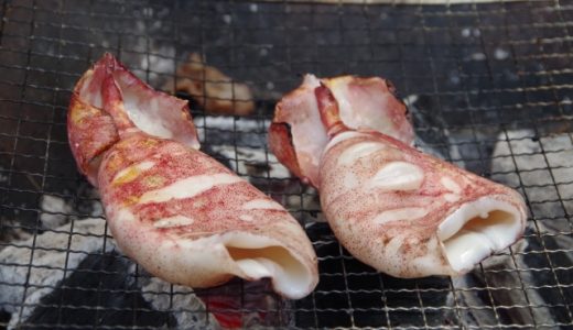 イカの一夜干しの冷凍保存の方法を紹介！解凍方法やアレンジも