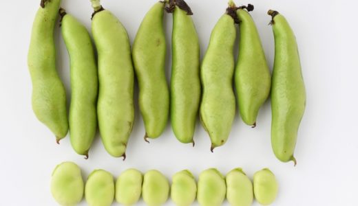 そら豆から変な匂いが！腐るとどうなる？保存方法は？匂いを抑える方法は？