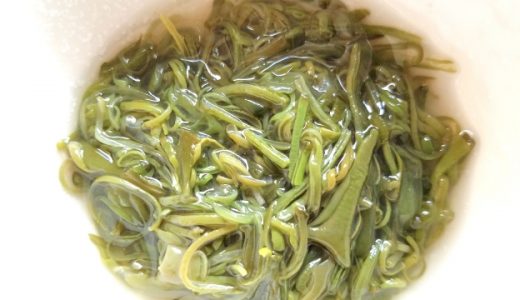 めかぶの食べ過ぎは吐き気の原因に!? ヘルシー食品の正しい知識とは