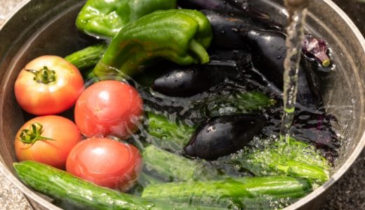 モロヘイヤの毒性はどこにあるの?口にするとどんな症状が出るの?