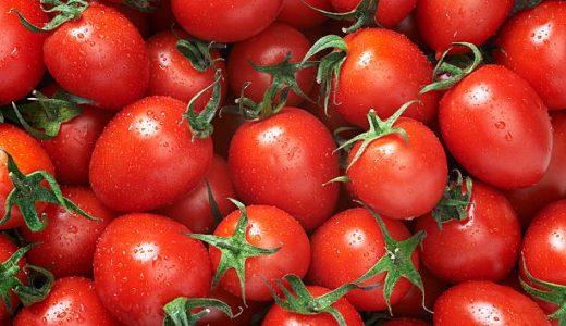 ミニトマトの食べ過ぎは栄養過多に?食べ過ぎは太る?1日何粒まで?