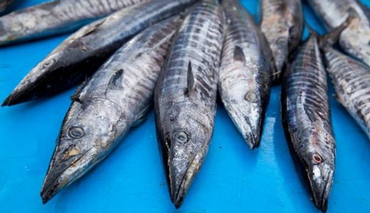 メジマグロによる食中毒症状｜どんな食べ方が危険?クドアで下痢･腹痛