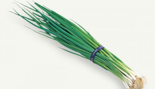 あさつきの球根･根っこの食べ方　効能･生で食べられる?ひげ根は?