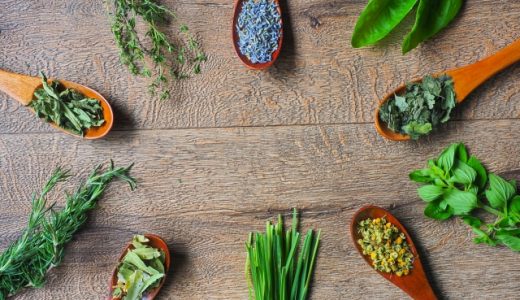 バジルとオレガノの違いは何?気になる疑問を徹底解説します!