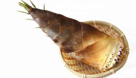 食べられないたけのこがあるって本当？見分け方や種類も紹介