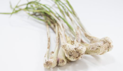 らっきょうがピンクに変化する原因を紹介！保存方法や見分け方も