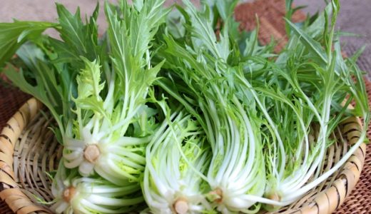 水菜が硬い場合の対処法は？硬い原因や柔らかくする調理方法も紹介！