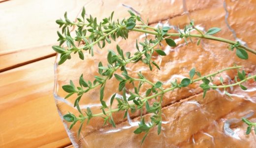 ハーブのタイムがまずい・カビ臭い?どんな香り?スパイス同士の相性・使い方は?