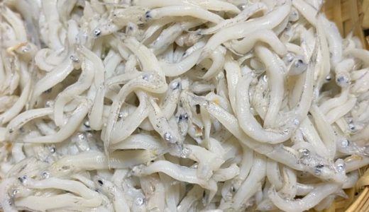 釜揚げしらすと生しらすの違いは？離乳食でおすすめなのはどっち？