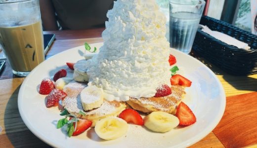 生クリームを食べ過ぎると起こる症状は？症状の対処やカロリーも紹介