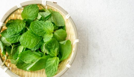 スペアミントの効能・効果とは?どんな栄養価を持つ?どんな香り?