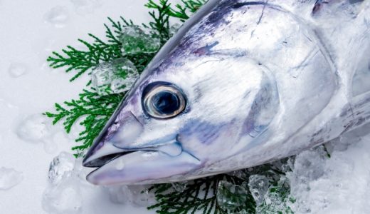 カツオの食中毒症状とは?アニサキスが寄生する?気を付けるポイント