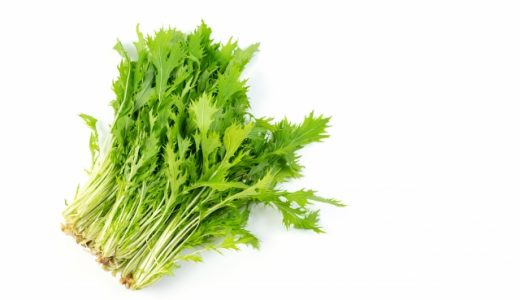 水菜の食べ過ぎによる下痢はなぜ起こる？主な原因や傷みの見分け方も