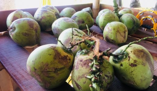 ココナッツ刺身ってどんな料理？どこで食べられる？沖縄にもある？