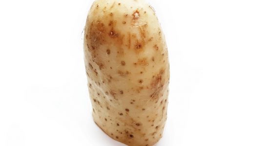 長芋の保存方法｜冷凍･常温･冷蔵庫｜解凍後ぶよぶよしない対処法