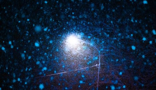 スピルリナ青の危険性はあるの?安全?どんな食品に使われている?