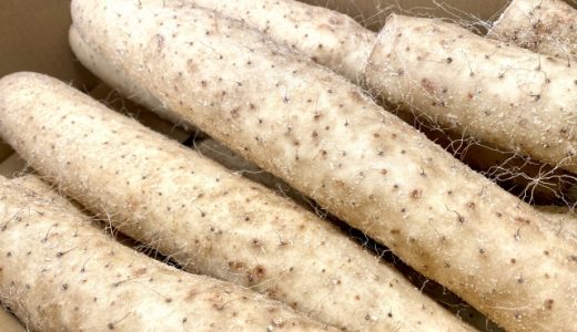 長芋の保存期限･日持ち｜なぜおがくずで保存?切り口変色は腐ってる?