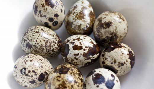 うずらの卵の賞味期限てどれくらい?切れたとしても食べられる?