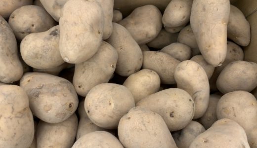 じゃがいものアレルギー症状｜喉の痒み・腹痛が?赤ちゃんは?対応法は?