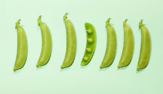スナップエンドウの保存方法は？冷蔵と冷凍どっちが良い？保存期間やレシピも