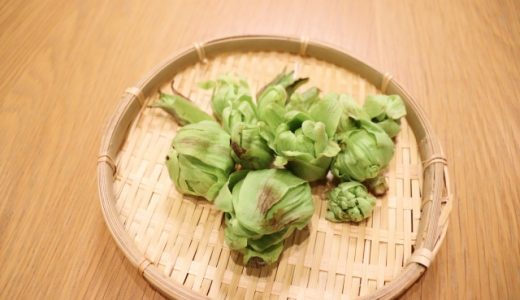 庭のふきのとうは食べられる?毒･危険性はない?食べ方･下処理