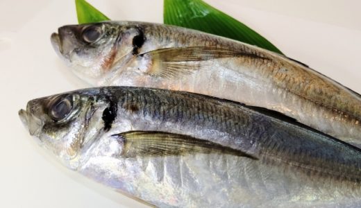 腐った魚を食べたら食中毒に!腐った魚の見分け方･腐りやすい理由