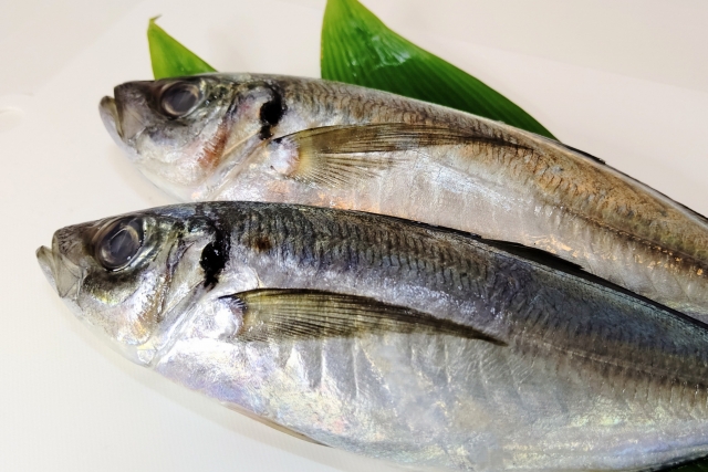 腐った魚を食べたら食中毒に 腐った魚の見分け方 腐りやすい理由 お役立ち 季節の耳より情報局