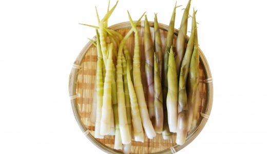 姫竹と根曲がり竹の違いは何?生息地･食べ方･どこまで食べられる?