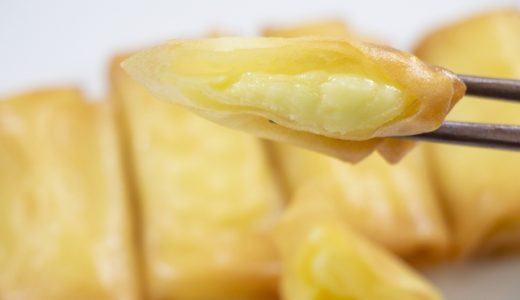 春巻きの皮の代用食材5選｜ない時に代わりになるもの｜手作りできる？