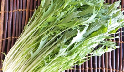 水菜は保存方法で日持ちが変わる？鮮度を保つ方法や長持ちのコツも！