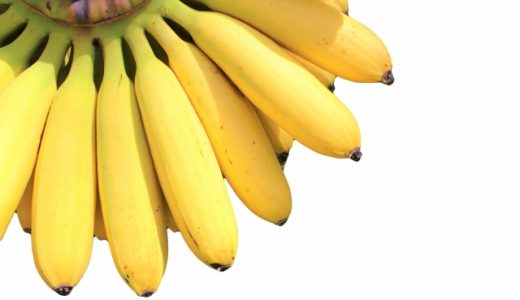 三尺バナナとモンキーバナナの違いは?味の違いは?他の種類も解説