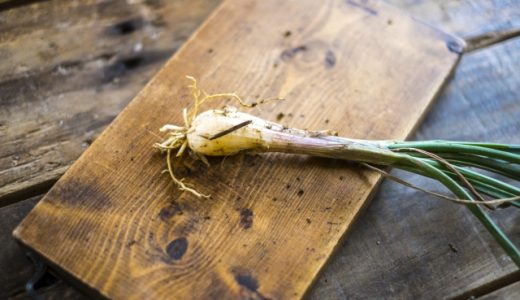 島らっきょうの青い部分は食べられる?おすすめの食べ方は?栄養は?