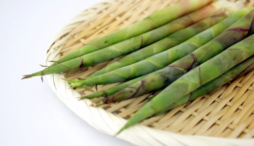 根曲りの竹の保存法!冷蔵・冷凍方法は?保存期間・賞味期限は?