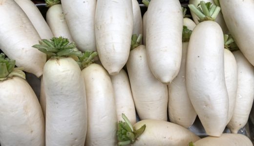 辛味大根を辛くないようにするコツは？大根との違いや調理方法も！
