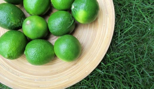 すだちシロップの保存期間｜冷蔵・冷凍?腐るとどうなる?活用例は?