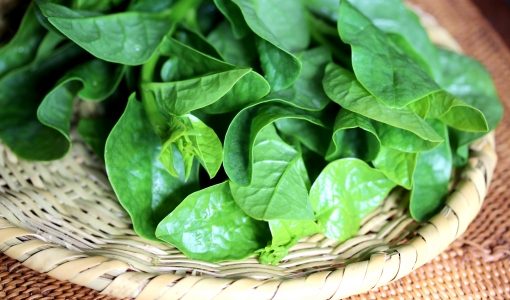 つるむらさきの保存方法｜日持ち･保存期間｜冷凍できる?効能･栄養