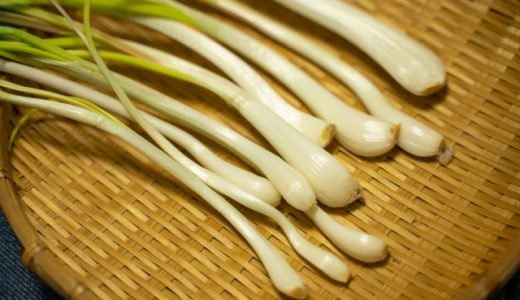 エシャレットは一日何個まで?適量や食べすぎで起きる不調について