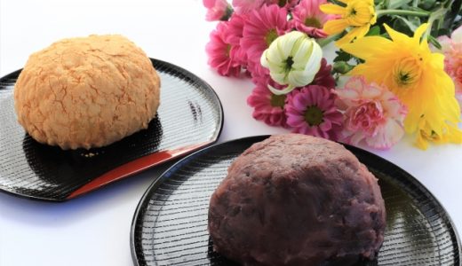 おはぎの日持ち｜賞味期限切れ1日は腐る?冷蔵庫で固くなる!冷凍方法