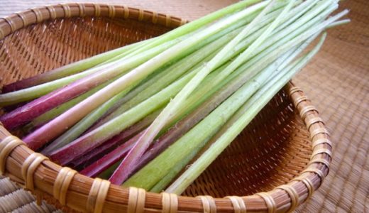 山ふきのあく抜きは重曹で!下処理で苦味をとり柔らかくする方法
