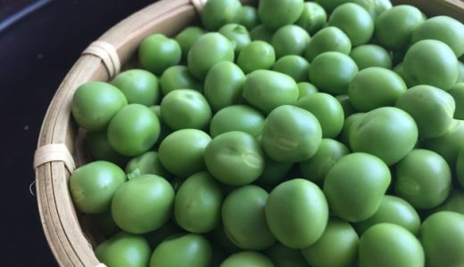 グリーンピースとうすいえんどうって違うもの?同じもの?特徴は?