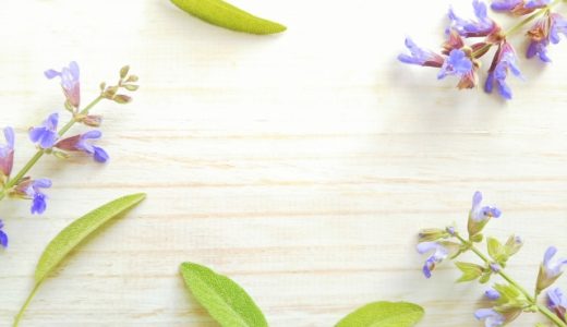 セージは生でも食べられる？食べ方や効能や副作用、おすすめレシピも！