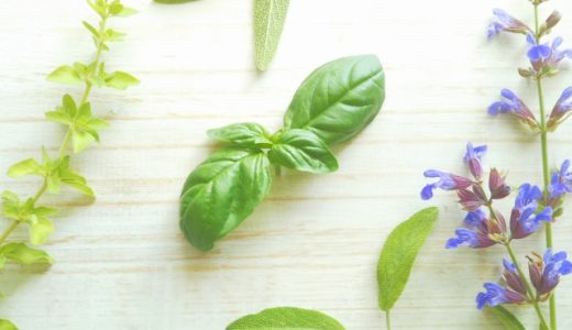 セージの代用は？タイムやパセリなどのスパイス！違いやホワイトセージも